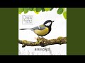 Blackhead Bird Sound