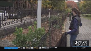 Volunteers Keeping NYC Parks Clean To Make Up For Budget Cuts