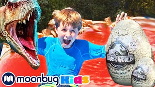 Watch Out for the Lava Pool! | Jurassic Tv | Dinosaurs and Toys | T Rex Family Fun