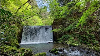 【新潟県五泉市】仙見川渓谷 長瀞 をブラブラ探検