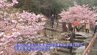 唐津市ニュース（平成31年3月4日～8日放送）