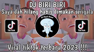 DJ BIRI BIRI SAYA DAH HILANG - DJ BIRI BIRI UPIN IPIN  || DJ VIRAL TIKTOK 2023