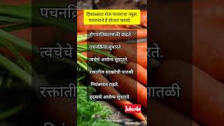 हिवाळ्यात रोज गाजराचा ज्यूस प्यायलाने हे होतात फायदे l #shorst #health