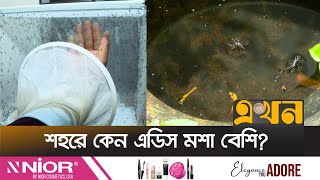 রাজধানীর যেসব এলাকায় ডেঙ্গু রোগী বেশি | Urban Dengue | Ekhon TV