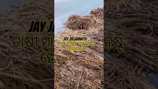 ଲେଖିଛି ଏ କଥା #Jay jaganntha #New shots #Viral vedio#new