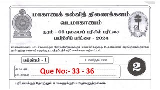 தரம் 5 புலமைப்பரிசில் வடக்கு மாகாணம் பயிற்சிப்பரீட்சை   2024  grade 5 scholarship exam Que No 33-36