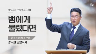 뱀에게 물렸다면(민수기 21장 4-9절) | 강득환 담임목사ㅣ2024-12-01