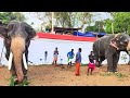 3000 years old arattupuzha sastha temple tour thrissur kerala devamela arattupuzha pooram 2024