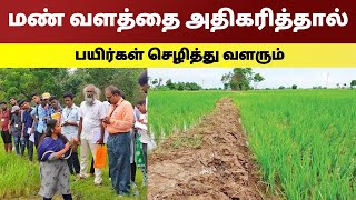 மண் வளத்தை அதிகரித்தால் பயிர்கள் செழித்து வளரும்