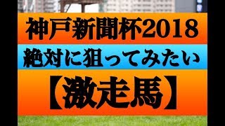 神戸新聞杯2018【絶対に狙ってみたい激走馬】ダービー馬の貫禄を！乗り替わりは気にしなくていい！！