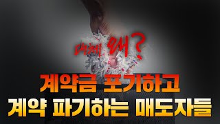 반등 소식에 계약 파기하는 매도자들! 계약금 포기해도 이익이라고? 정말?