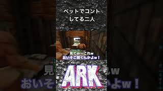 ベットでコントする二人 #shorts #ark