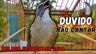 ESQUENTAR TRINCA FERRO FRIO 🔥MELHOR VÍDEO PARA ESQUENTAR TRINCA FERRO 2024 TRINCA FERRO NO MATO👏😱