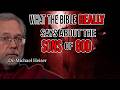 BIBLE Commentaries Get This WRONG: Michael Heiser Explains the Sons of God (and it's MINDBLOWING)