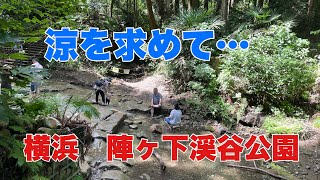 横浜　陣ヶ下渓谷公園