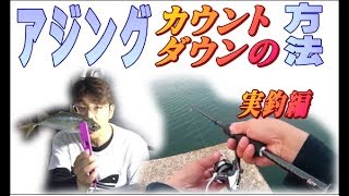 アジングカウントダウンの取り方実釣動画編　「暗闇でカウントダウンをとる方法」