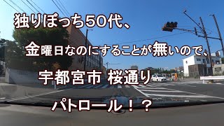 独りぼっち５０代、金曜日なのにすることが無いので、宇都宮駅市 桜通り パトロール！？