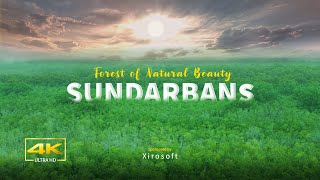 Forest of Natural Beauty | Sundarbans | Film by Shah Zobayer Ahmed