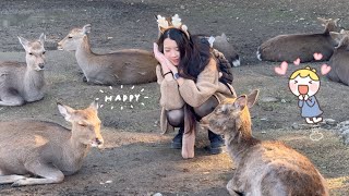 沢山の鹿に囲まれて幸せな外国人観光客🦌奈良公園