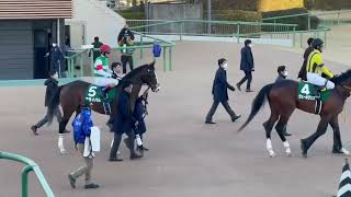 【現地映像】2022/1/16 アライバル 中山競馬場「GⅢ京成杯」（グランプリロード〜馬場入り）