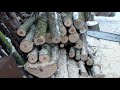 Испытание пильных цепей stihl oregon haoyu