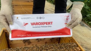 VAROXPERT Slow-Release Amitraz Varroa Strips for Bees #beekeeping  #varroa  #beekeepingequipment