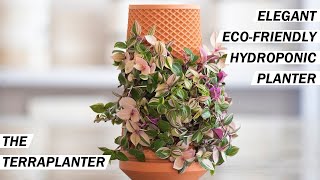 Eco-Friendly Hydroponic Planter | Terraplanter