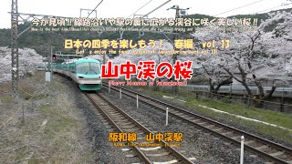 4K　2022年　4/3（日）撮影　満開の桜　山中渓の桜　阪和線　山中渓駅　#日本の四季を楽しもう!　春編　vol.13　今が見頃‼　線路沿いや、駅の裏に広がる渓谷に咲く美しい桜‼