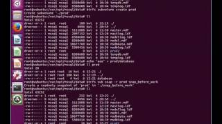 btrfs and SQL Server on Linux