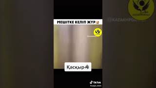 Мешітке қасқыр келіп жүр...