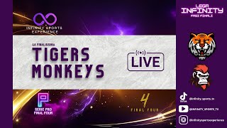 TIGERS VS MONKEYS | LEGA INFINITY | SERIE PRO | FINALE FINAL FOUR