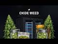 The Most Advanced FiveM Weed & Horticulture System | Oxide Studios (QBCore, ESX, Agnostic)