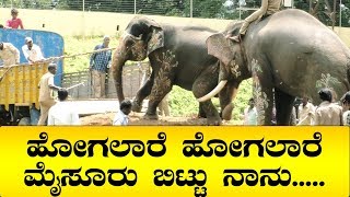 gajapade | gajapade 2019 | dasara gajapade | dasara gajapade 2019 | mysore dasara gajapade