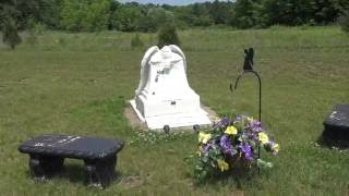Thelen Funeral Home & Synergy Crematory