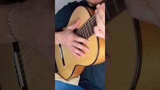 Amin Toofani | Gratitude part 2 #flamenco #viral #fingerstyle #guitar