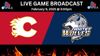 Flames vs Wolves