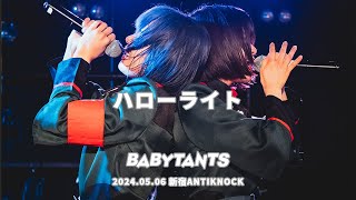 [BABYTANTS] ハローライト 2024.05.06 新宿ANTIKNOCK