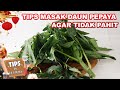 BEGINI CARANYA MEMASAK DAUN PEPAYA SUPAYA TIDAK PAHIT