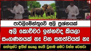 පාර්ලිමේන්තුවේ අලි ප්‍රශ්නයක්