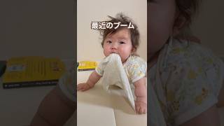 【生後6ヶ月】ガーゼはむはむするのがブームな赤ちゃん👶🏻このブーム他の子にもあるのかな？とにかく可愛くて癒される🥰