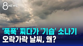 한쪽은 '푹푹', 한쪽은 '기습' 소나기…오락가락 날씨, 왜? / SBS 8뉴스