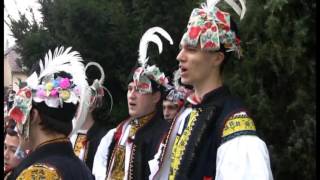 Hody Huštěnovice 2014 - klip