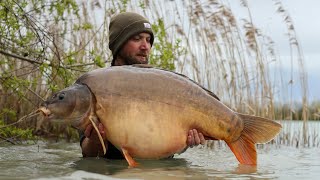 Road Lake Gigantica 2024