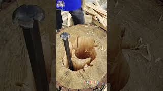 The carpenter cut the grain in the middle of the 70cm log with a sharp chisel to make it a beehive