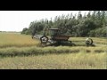 windrowing canola u0026 wheat