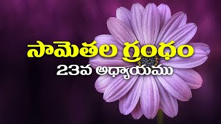 The Book Of Proverbs Chapter 23 | Proverbs సామెతలు 23 || Telugu #bible #morningverse #dailymessage