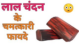 lal chandan | लाल चंदन के फायदे | red sandalwood benefits