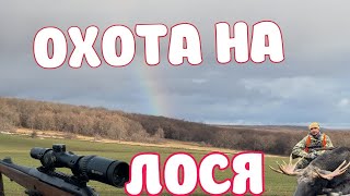 ОХОТА НА ЛОСЯ.