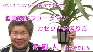 スポンジは濡らしてから使います【伊藤商事壁面緑化】カセットの作り方／花創人はなそうにん岐阜愛知寄せ植えハンギングバスケット教室