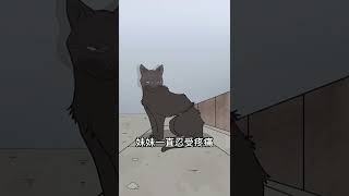 世界以痛吻你，我用守护温暖你 #保护动物 #关爱流浪猫 